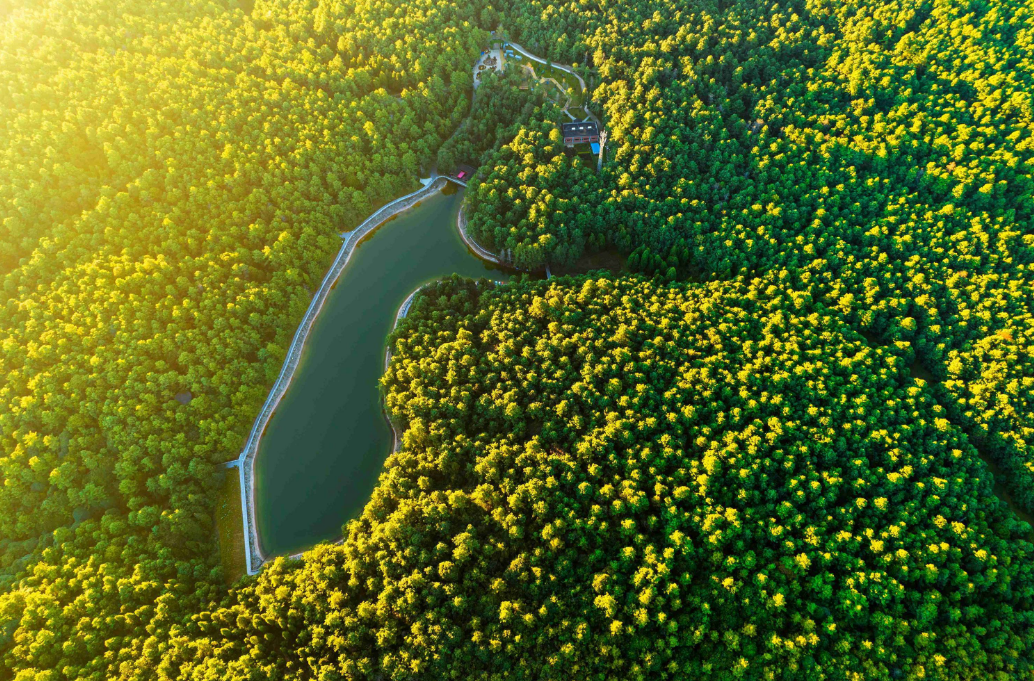 311774915707200846.png image.png